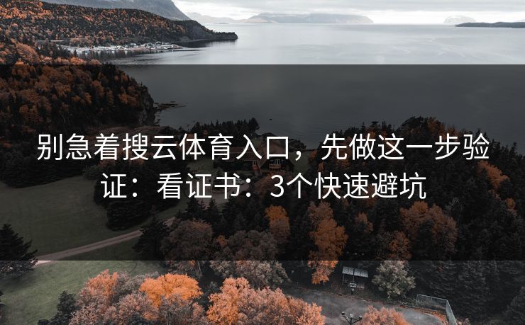 别急着搜云体育入口，先做这一步验证：看证书：3个快速避坑