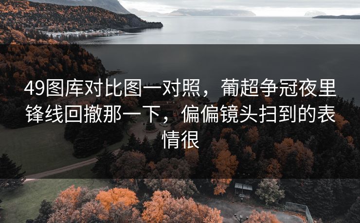 49图库对比图一对照，葡超争冠夜里锋线回撤那一下，偏偏镜头扫到的表情很