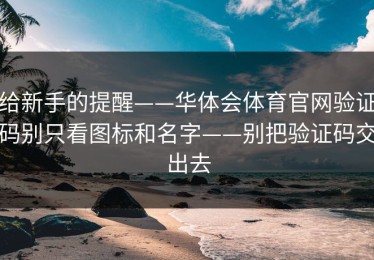 给新手的提醒——华体会体育官网验证码别只看图标和名字——别把验证码交出去
