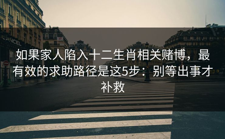 如果家人陷入十二生肖相关赌博，最有效的求助路径是这5步：别等出事才补救