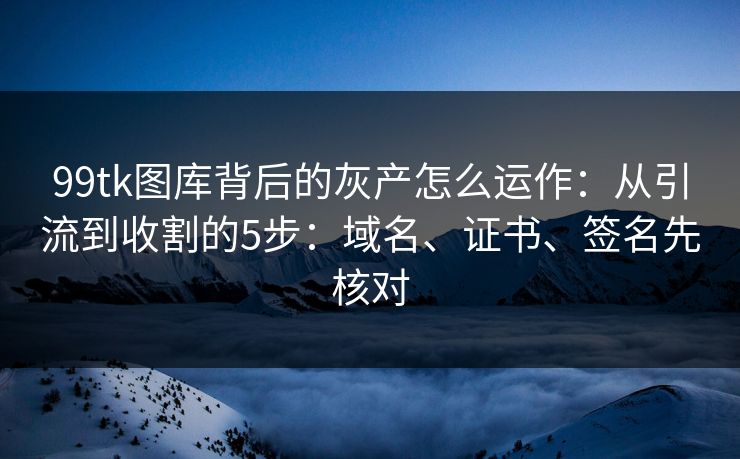 99tk图库背后的灰产怎么运作:从引流到收割的5步:域名、证书、签名先核对 99tk图库背后的灰产怎么运作:从引流到收割的5步:域名、证书、签名先核对